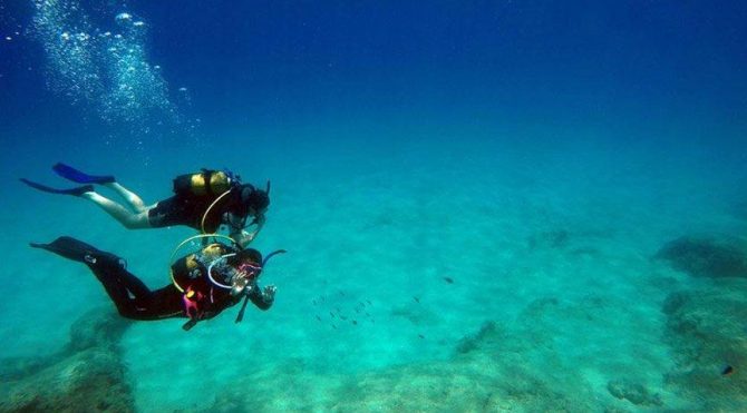 Uzman isim uyardu! Zehirli türler Akdeniz’e geliyor