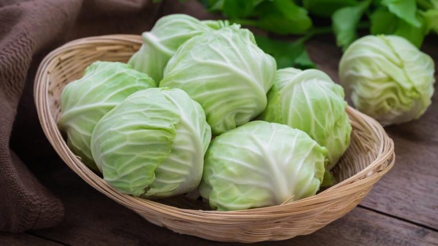 Lahananın faydaları nelerdir? Lahana neye iyi gelir?