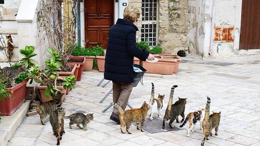 Turuncu bayraklı otellerde konaklamanın avantajları
