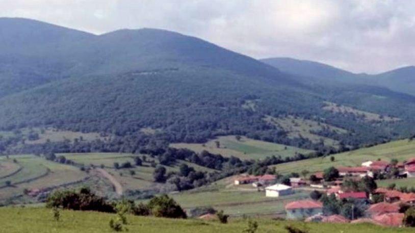 Ağaç katliamının yeni adresi Şahin Dağları