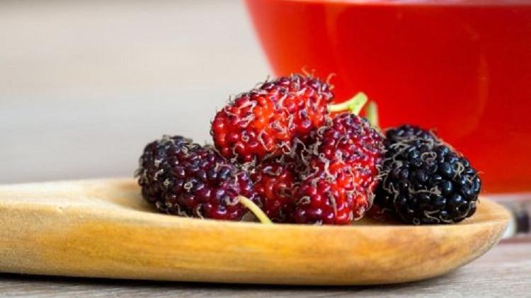 Dutun faydaları: Dut neye iyi gelir?