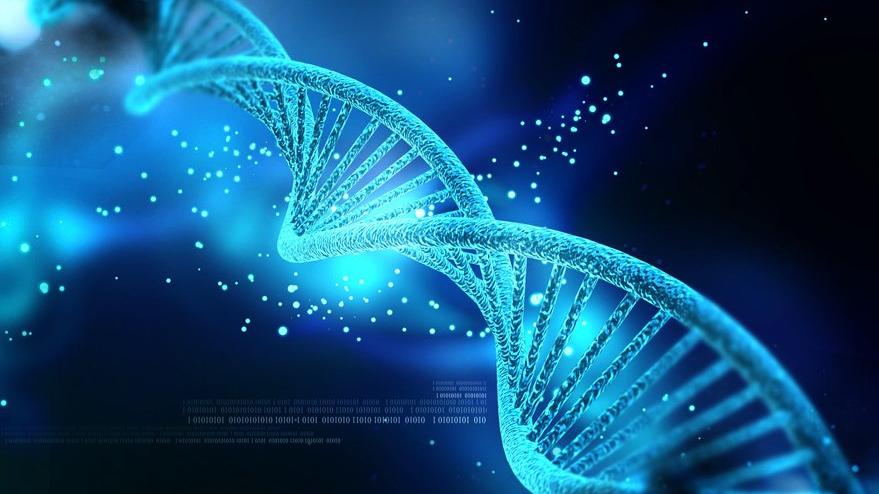 DNA'nızı koruyun - Sağlık son dakika haberler