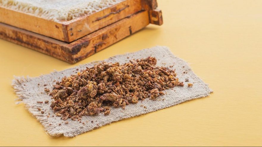 Propolisin faydaları nelerdir? Propolis neye iyi gelir?