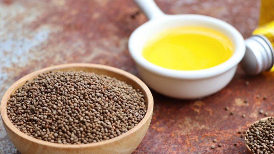 Perilla yağının faydaları nelerdir? Perilla yağı neye iyi gelir?