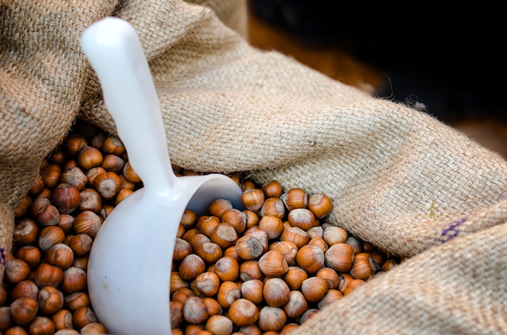 Fındığın, içeriğindeki vitamin E ve selenyumun antioksidan etkisi ile yara iyileşmesini hızlandıracağını düşündüklerini anlatan Çıraklı, yaklaşık 2 yıl boyunca fareler üzerinde yaptıkları çalışmayla ilgili şu bilgileri verdi: