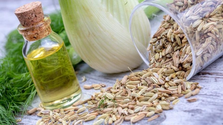 Rezene çayı kaç kalori? Rezene çayının besin değerleri ve kalorisi…