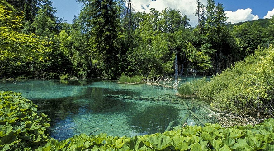 Hırvatistan'da Bosna-Hersek sınırına oldukça yakın bir bölgede yer alan, aynı zamanda UNESCO'nun Dünya Kültür Mirası listesine aldığı göller topluluğu olan Plitvice Gölleri güzellikleriyle büyülüyor.