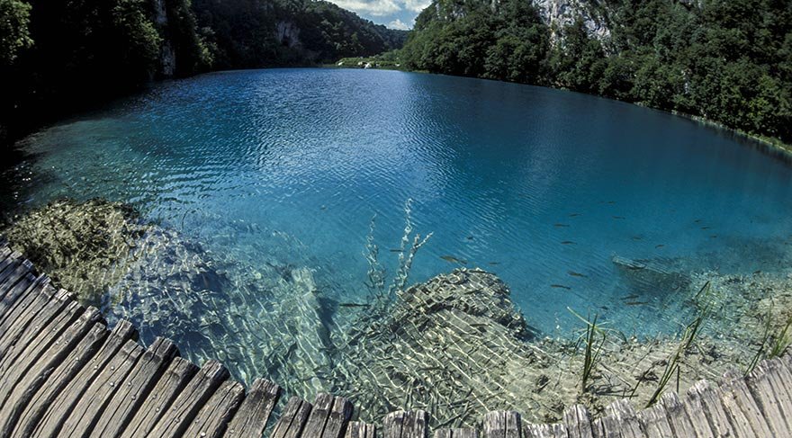 Doğal yaşam alanı da olan Plitvice Gölleri bölgesinde, aynı zamanda çok sayıda ayı, kurt, yaban domuzu ve kuş yaşıyor.
