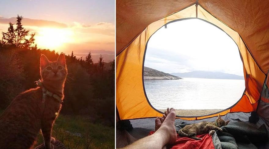Artık ayrılmaz bir ikili haline gelen Nala ve Dean, terk edilmiş köyleri, saklı plajları, kasabadan kasabaya, ülkeden ülkeye beraber geziyor.