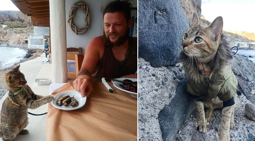 Issız bir yerde, aç ve tek başına olan kediyi bir veterinere götürdükten sonra, en sevdiği film olan Aslan Kral'dan esinlenerek yavruya Nala ismini verdi ve yola beraber devam ettiler.