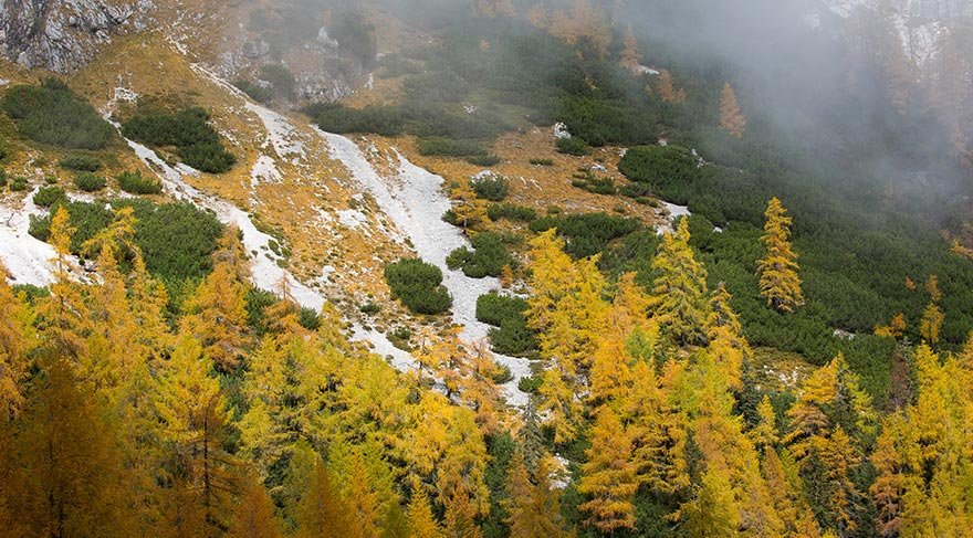 Slovenya'nın Vrsic-Pass bölgesindeki Triglav Milli Parkı, Avrupa'da sonbahar mevsiminin en güzel renklerinin görülebileceği yerlerin başında yer alıyor.
