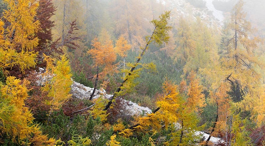 Slovenlerin sembolü olan 2864 metre yükseklikteki dağ ile aynı adı alan Triglav Ulusal Parkı, aynı zamanda ülkenin tek ulusal parkı.