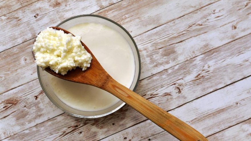 Kefirin faydaları nelerdir? Kefir neye iyi gelir?