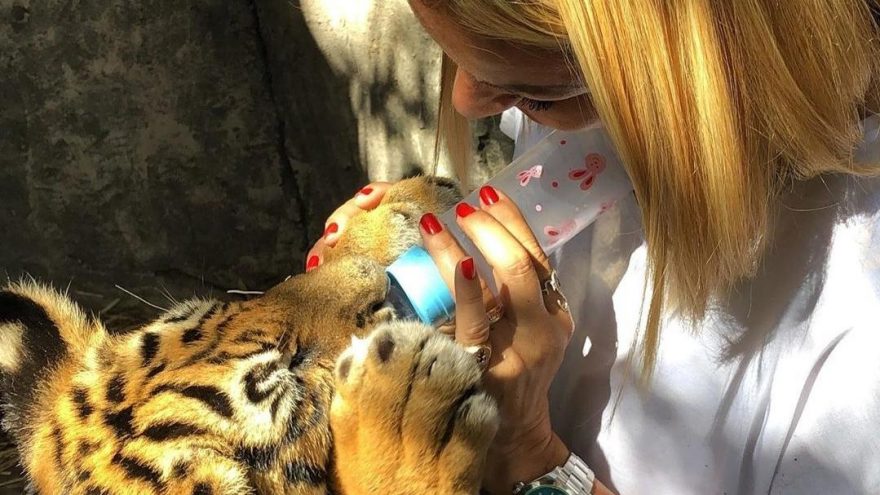 Pınar Altuğ aslan yavrularını elleriyle besledi