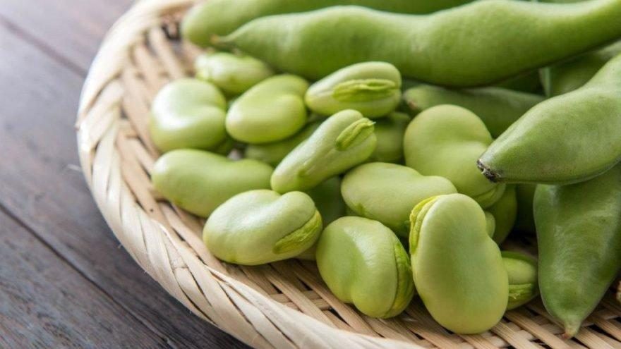 Bakla kaç kalori? Baklanın besin değerleri ve kalorisi…