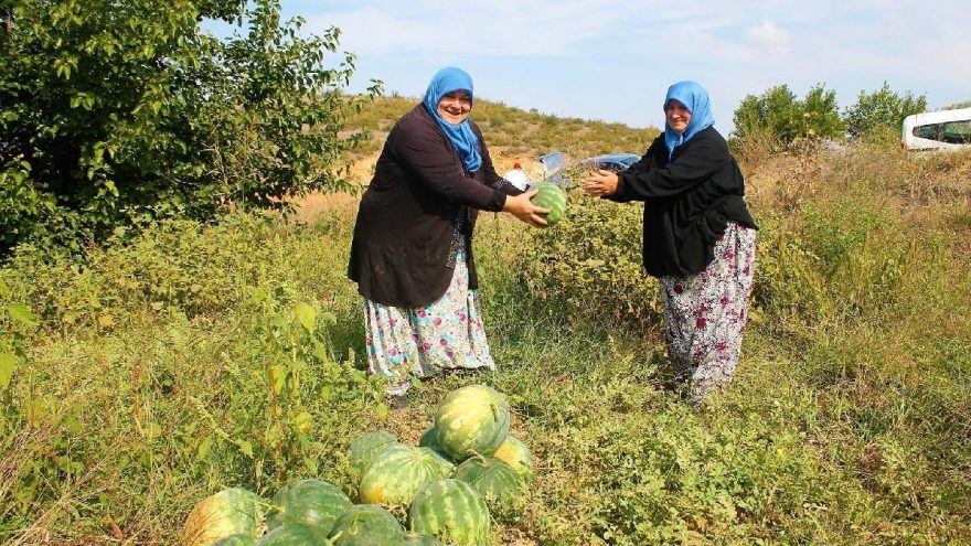 Dünya Kadın Çiftçiler Günü kutlanıyor