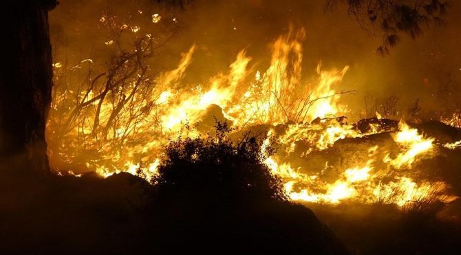 Mersin Erdemli de orman yangını