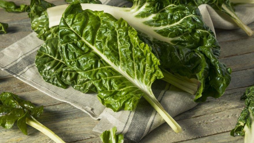 Pazının faydaları nelerdir? Pazının vücuda yararları…