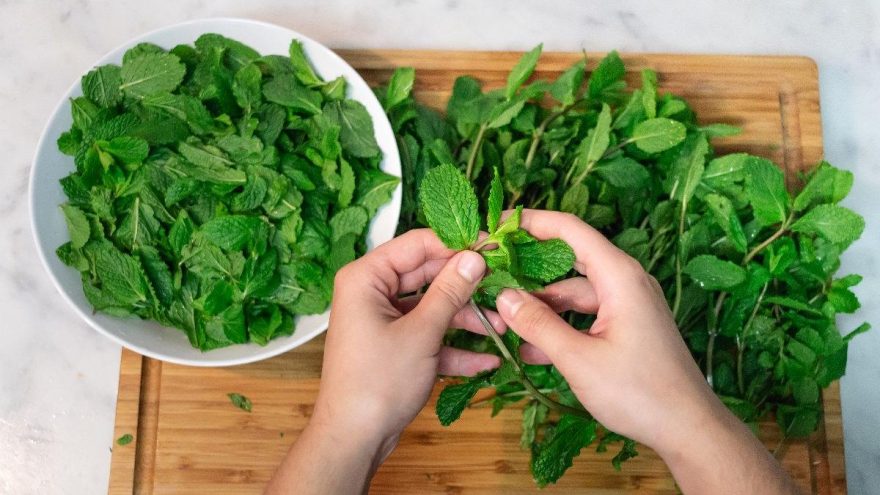 Nanenin faydaları: Nanenin içinde hangi vitaminler var?