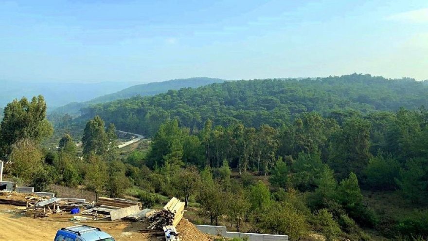 Muğla’da yüz binlerce ağaç kesilebilir