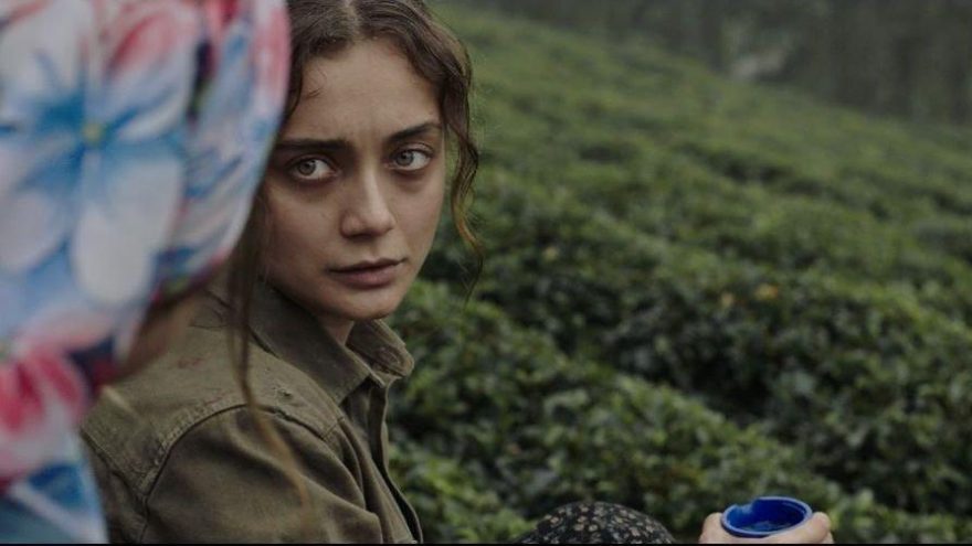 Frankfurt’ta 11 Türk filmi yarışıyor