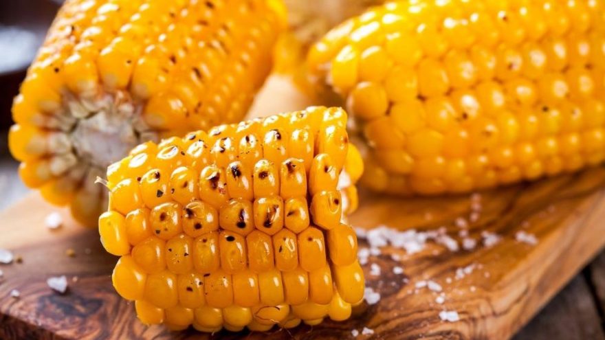 Mısır kaç kalori? Mısırın besin değerleri ve kalorisi
