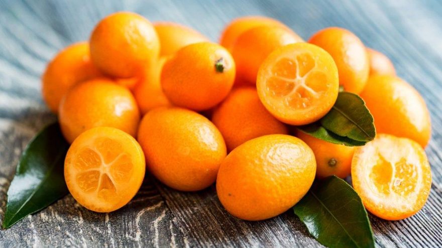 Kamkat kaç kalori? Kamkatın besin değerleri ve kalorisi