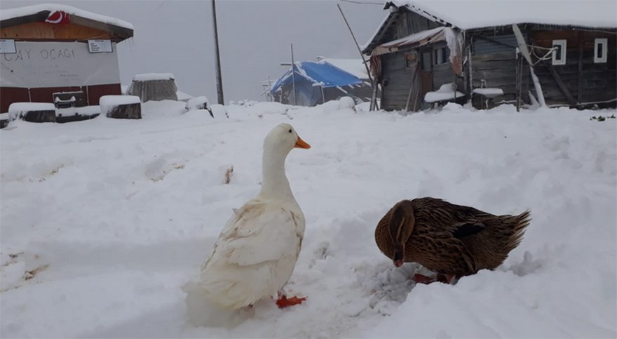 Rize’de mahsur kalan kişilere ulaşıldı - Resim : 6