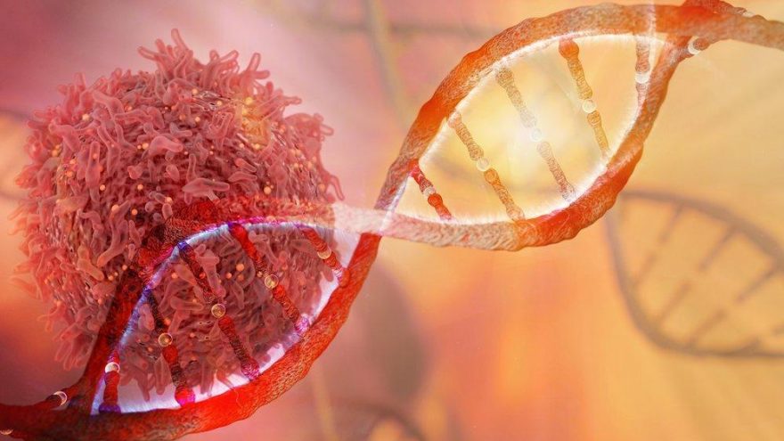 Kanserin düşmanı: İmmünoterapi