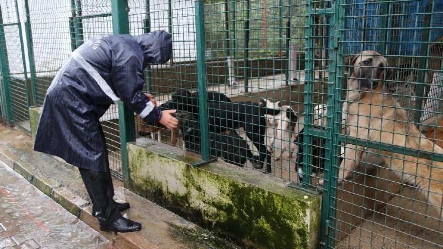 Ordu’da tepki çeken barınağın sorumluları görevden alındı