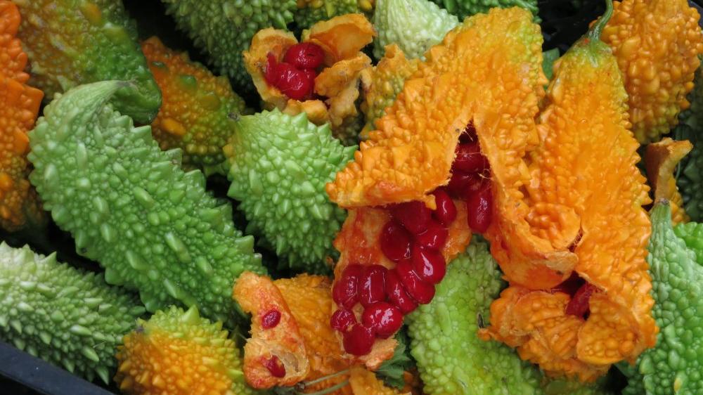 Kudret Narinin Faydalari Nelerdir Kudret Nari Neye Iyi Gelir Guncel Yasam Haberleri