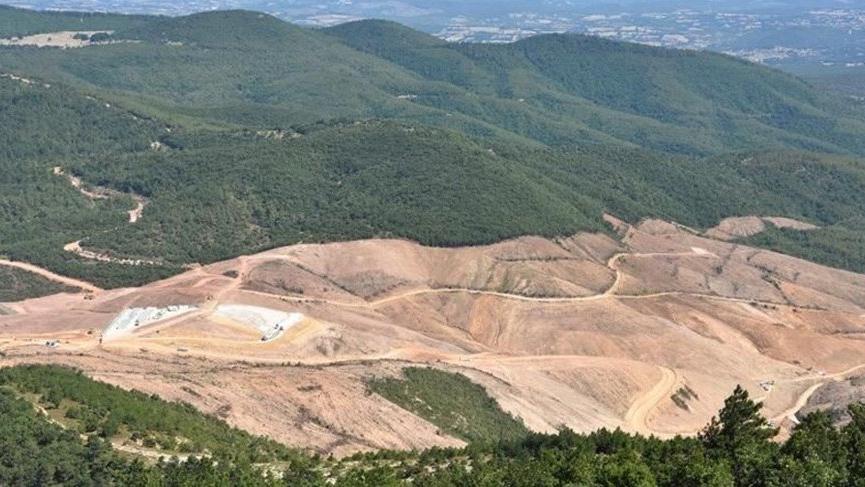 Kaz Dağları’nda binlerce ağaç kesen maden şirketinin faaliyeti durduruldu