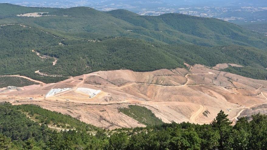 Kaz Dağları’nda 200 bin ağaç kesen şirket 2 bin 500 fidan dikti