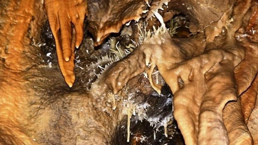 Yeni keşfedildi! Doğal güzelliğiyle dikkat çekiyor