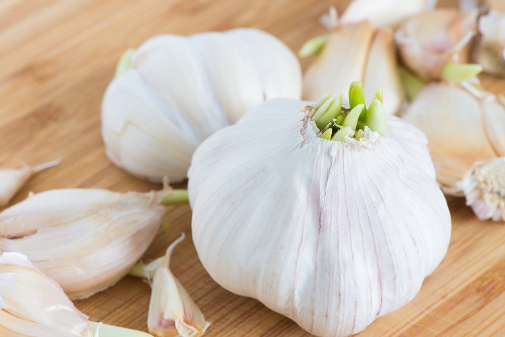 ARTİRİTİ ÖNLER: Araştırmacılar allium sebzelerinden (soğan, sarımsak, pırasa) yüksek diyet yapan kadınlarda kalça artiritinin görülme oranı daha az diyor. Bu sebzelerde bulunan bir madde bileşik eklemlerde kıkırdak yıkımını engeller.