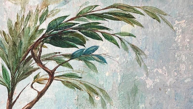 Ödüllü yazardan yeni roman