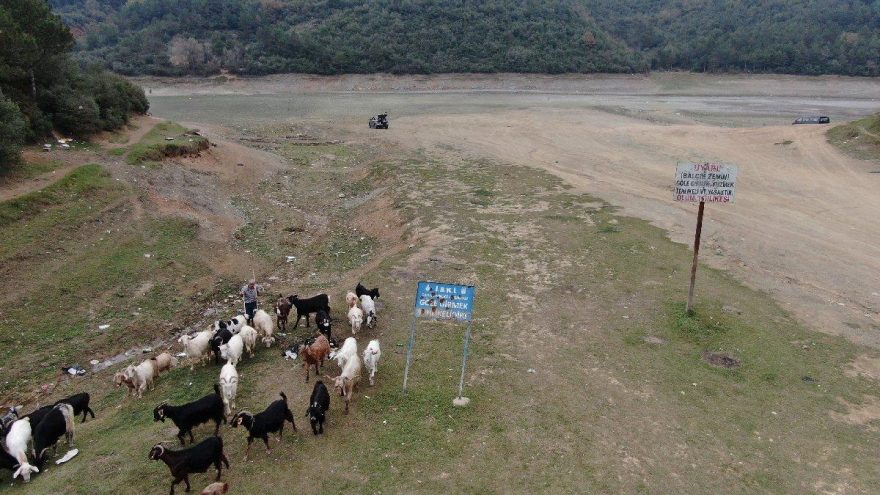Balıkların yüzdüğü yerde şimdi keçiler otluyor