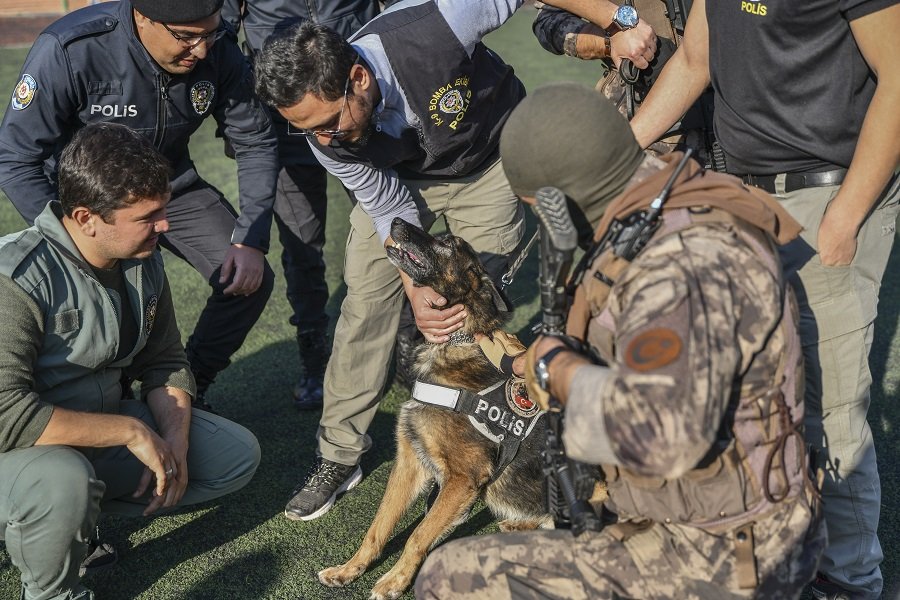 Katıldığı her operasyonda ekiplere yol gösterme anlamında ciddi katkıda bulunan Timsah, başarı dolu karnesiyle meslek yaşantısını geride bıraktı.