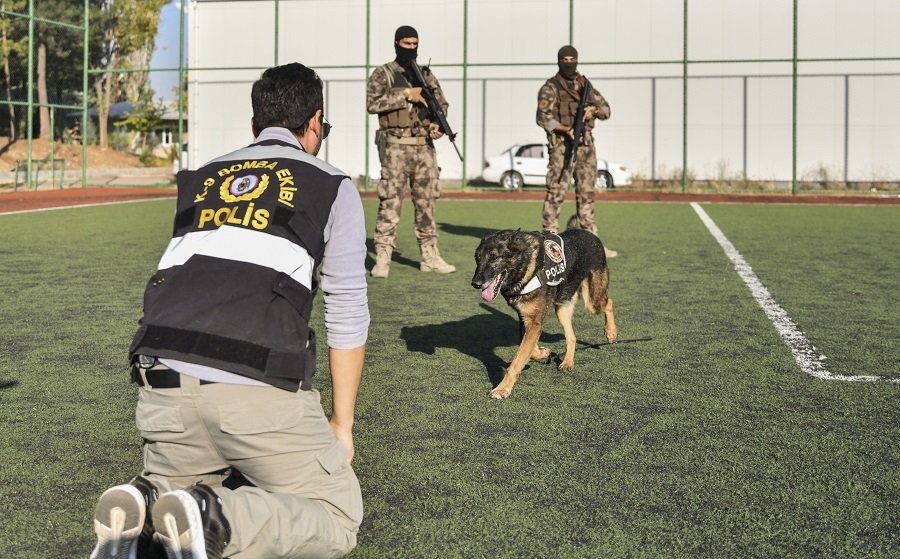 Sorumlu polis memuru İsmail Çelik, Timsah'la beraber çalışmanın bir gurur olduğunu ancak şimdi ondan ayrılmanın üzüntüsünü yaşadığını söyledi: Bir gün operasyonda patlayıcı buldu ve oturarak tepki verdi. O gün belki yüzlerce kişinin hayatını kurtardı. Görev bitimi akşam eve geldiğimizde ben ona o bana baktı ve birbirimize sarıldık. O anı hiç unutamam. Onu evladım gibi seviyorum. Emekli olduktan sonra da bizde kalacak. (AA)