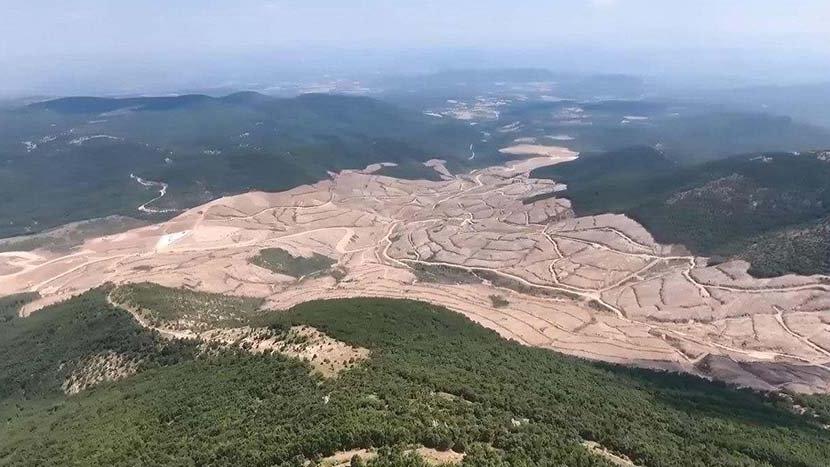 CHP’li vekil, Meclis’te Bakan’a sordu: Siz Kazdağları’na tilki, ayı, tavşan dikebilir misiniz?