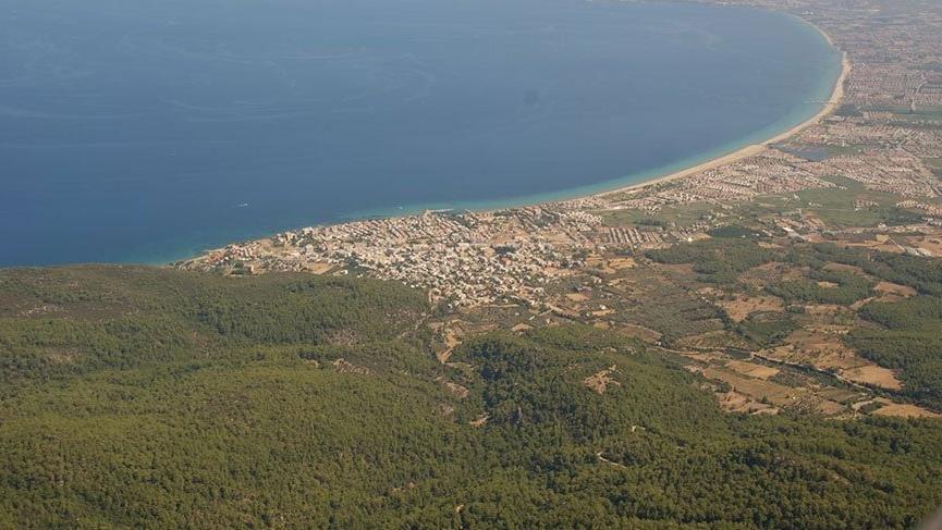Kuşadası Körfezi yeni türlere ev sahipliği yapmaya başladı