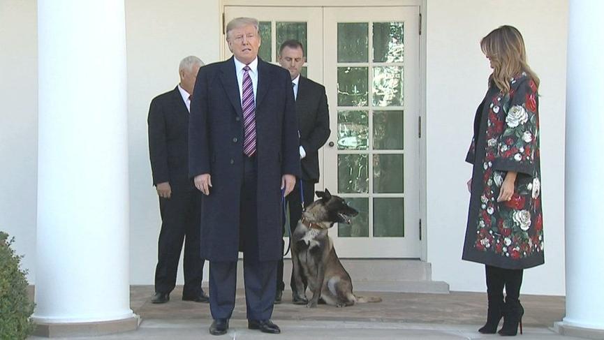 Trump’tan Bağdadi operasyonunda görevli köpeğe plaket ve madalya