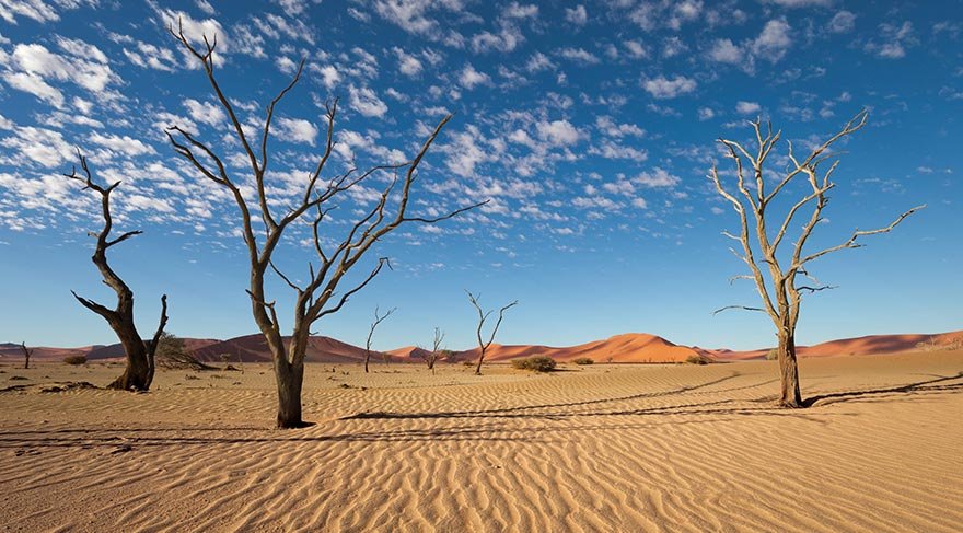 Bölgedeki Dead Vlei ise binlerce yıl önce kurumuş ağaçların olduğu yer.