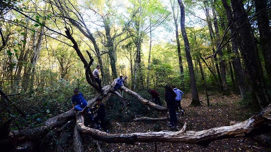 Doğa turizminin gözdesi Kırklareli sonbaharda görsel şölen sunuyor