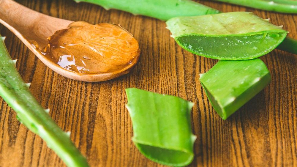 Aloe Vera Neye Iyi Geliyor Aloa Veranin Faydalari Nelerdir Guncel Yasam Haberleri