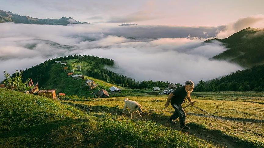 Karadeniz’de bir doğa harikası: Pokut Yaylası