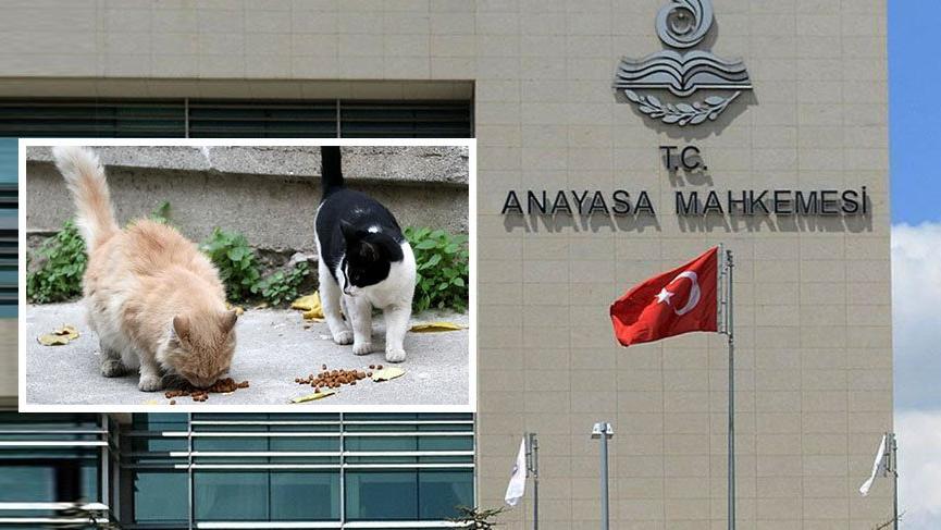 Anayasa Mahkemesi’nden içimizi ısıtan karar