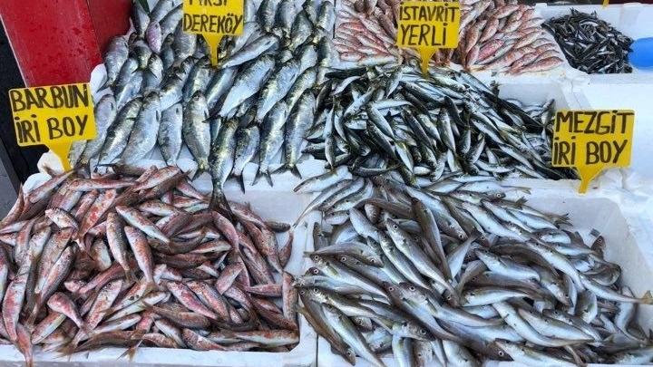 Kulağına kar suyu kaçmadan hamsi kaçtı
