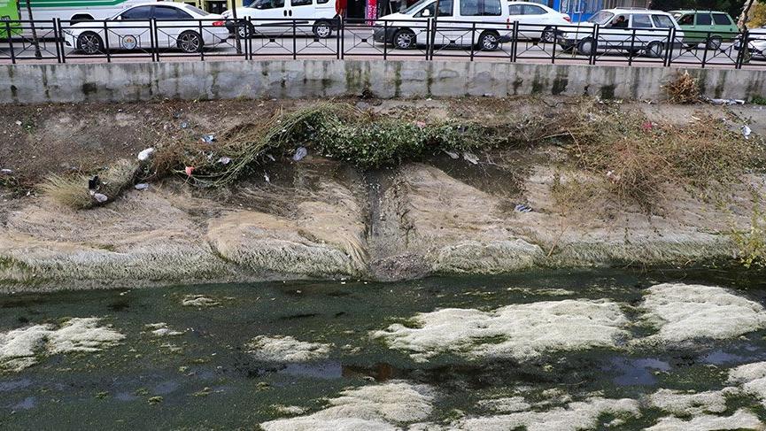 Çukurova’ya hayat veren sulama kanallarında fareler geziyor