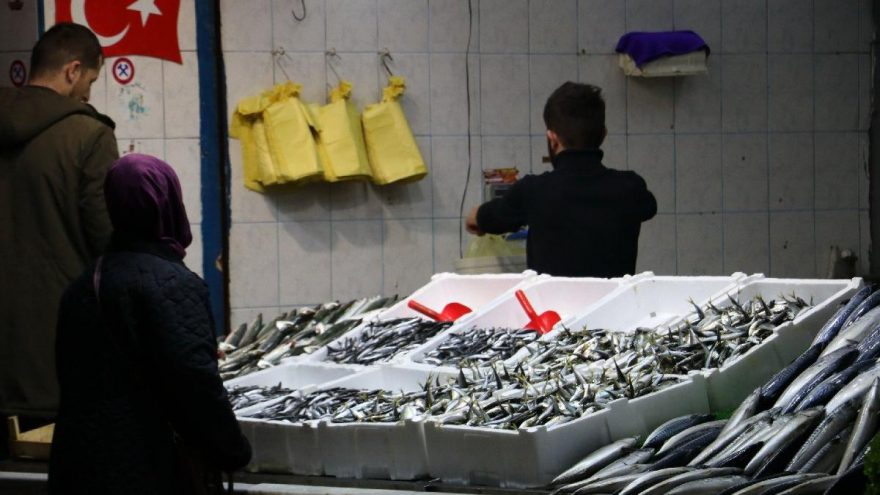 ‘Önlem alınmazsa gelecek nesil balığı sadece kitaplarda görecek’